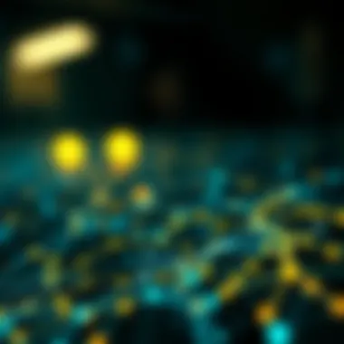Blockchain Technology and Its Role in Payments An abstract illustration of blockchain technology