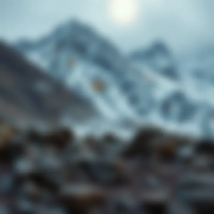 Investment Strategy Analysis in Crypto Investment strategy analysis in the context of Avalanche and Binance