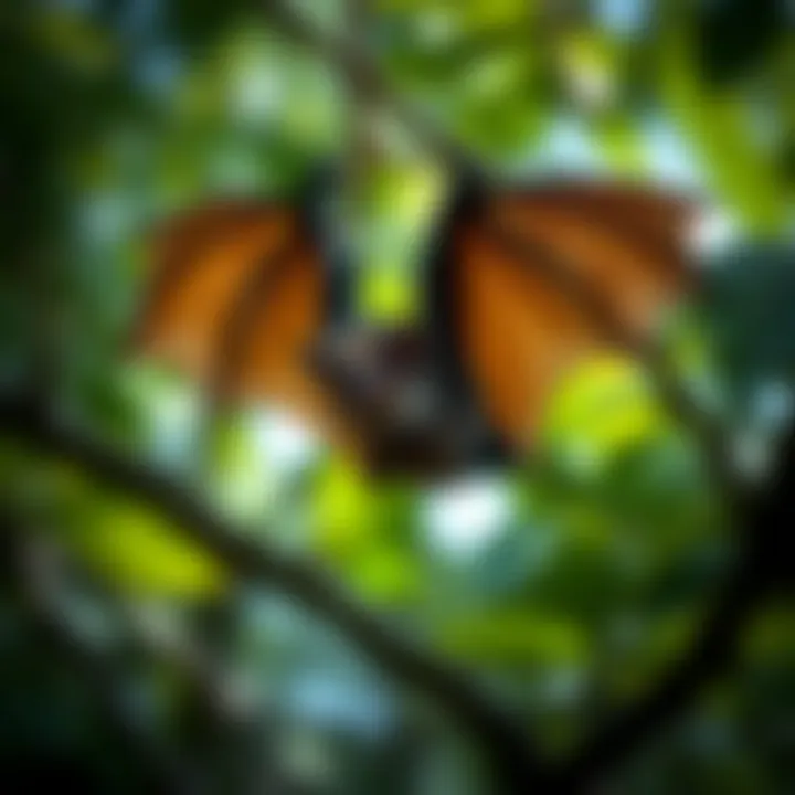 The Role of Bats in Ecosystems Bats in a natural habitat reflecting ecological balance