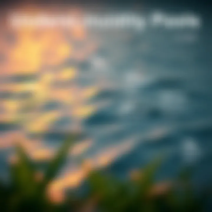 Understanding Liquidity Pools in DeFi Diagram illustrating liquidity pools and their functions