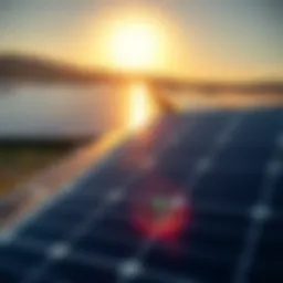 A solar panel array harnessing sunlight for energy production