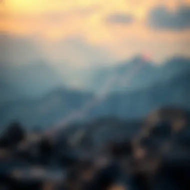 Future Trends in Altoira Crypto Development Chart depicting future trends in Altoira Crypto development