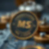 Understanding MS Coin: Insights and Implications in the Cryptocurrency Sector Introduction